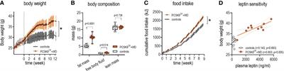 Incidence of microvascular dysfunction is increased in hyperlipidemic mice, reducing cerebral blood flow and impairing remote memory